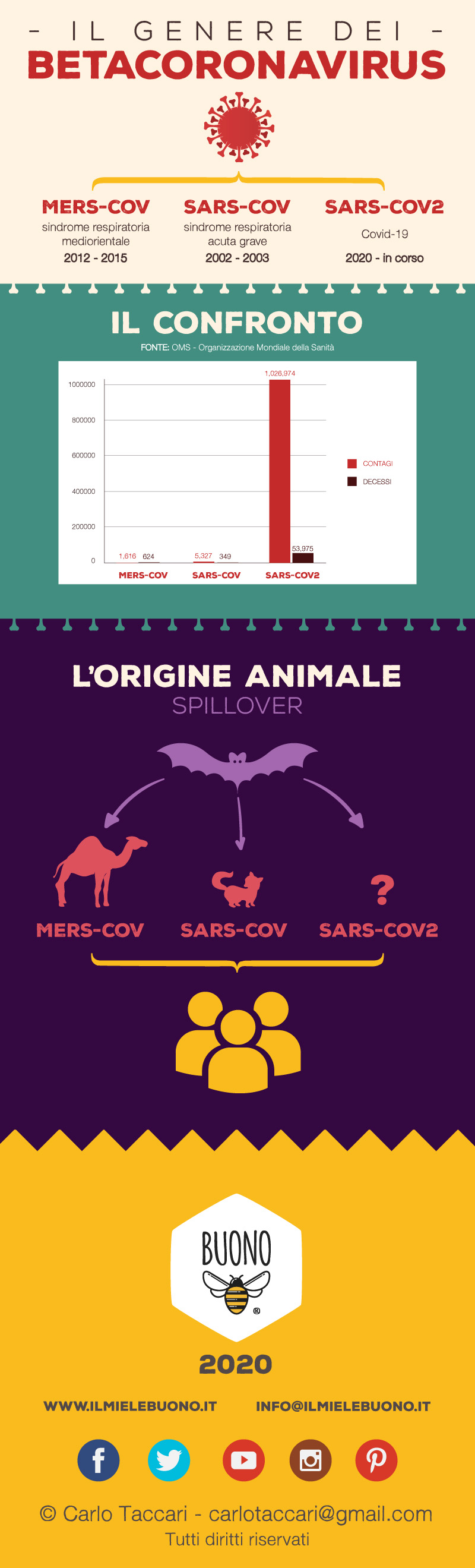 Coronavirus infografica © Carlo Taccari/BUONO