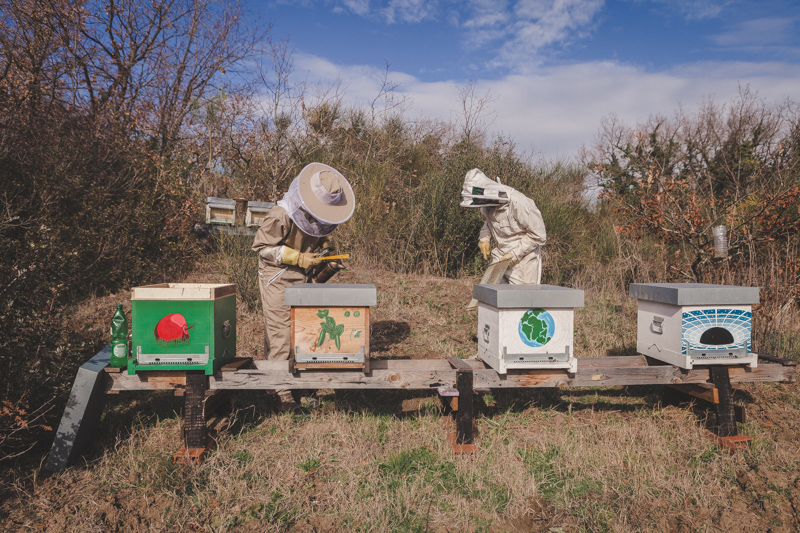 apicoltori al lavoro sulle arnie di buono