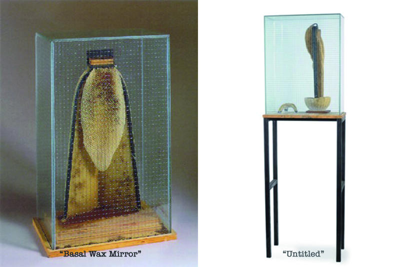 basal wax mirror e untitled copy garnett puett