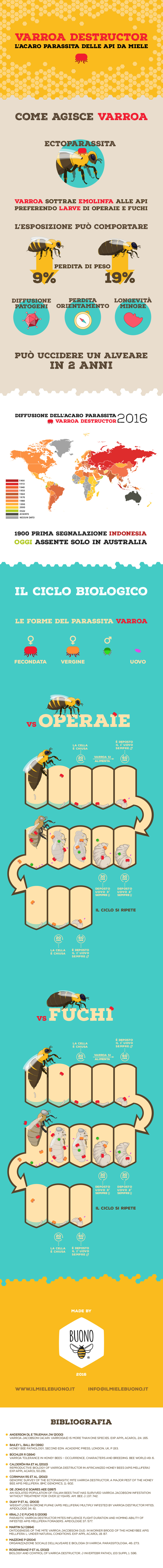 infografica varroa