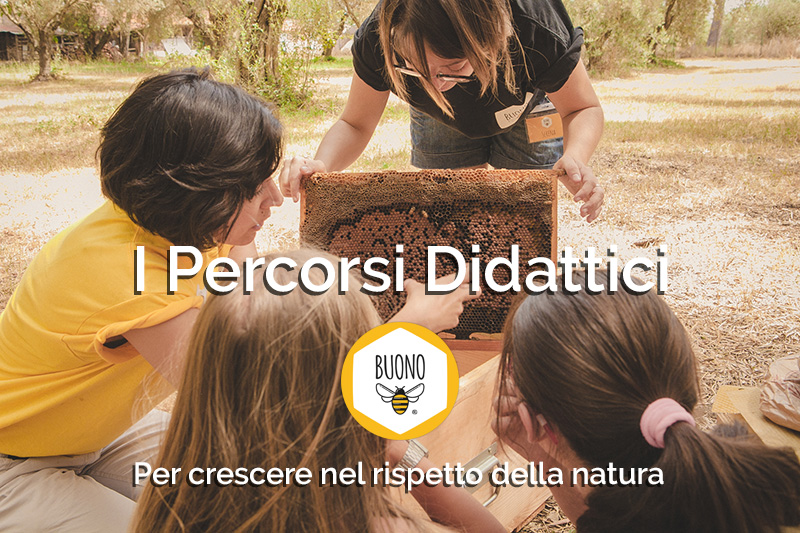 i Percorsi Didattici BUONO